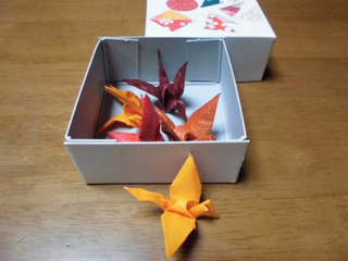 第3回「かつらぎの家」でラフターヨガ♪ 第3回「かつらぎの家」でラフターヨガ♪