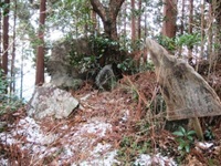 Shingen-iwa Shingen-iwa