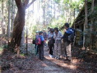 The ruins of the old tea houses The ruins of the old tea houses