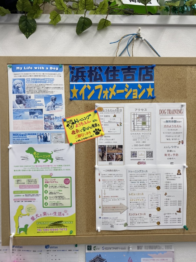 4/29 住吉店「店内ポップ張替え~!」 4/29 住吉店「店内ポップ張替え~!」