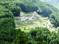 鮎釣 鮎釣