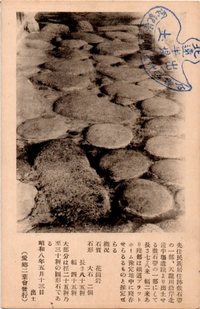 先住民族居住跡敷石帯の一部 先住民族居住跡敷石帯の一部