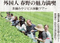 茶摘みを楽しむ在日外国人のツアー参加者ら 茶摘みを楽しむ在日外国人のツアー参加者ら