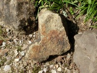 ❤形の石