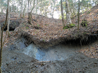 新たに発見された中央構造線の程野露頭。中央部に縦の断層が走っている 新たに発見された中央構造線の程野露頭。中央部に縦の断層が走っている