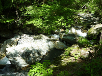 小芋川 小芋川
