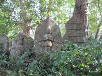 谷山の石仏群(真ん中が庚申像) 谷山の石仏群(真ん中が庚申像)