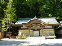 コウヤマキ コウヤマキ