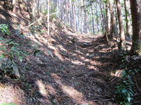 久保田道 久保田道