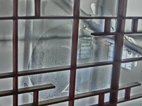 丸窓の「満月にウサギ」 丸窓の「満月にウサギ」