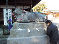 見付天神の「願かけ牛」 見付天神の「願かけ牛」