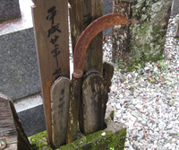ノガマ ノガマ
