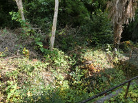 池の跡 池の跡
