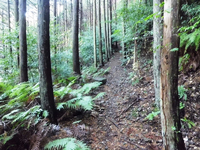 光明山の参道 光明山の参道
