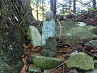 芝地蔵? 芝地蔵?
