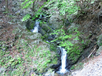 滝 滝