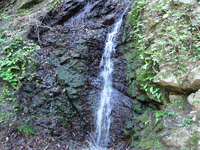 滝 滝