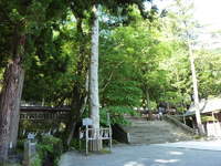 塀重門下の玉垣 塀重門下の玉垣