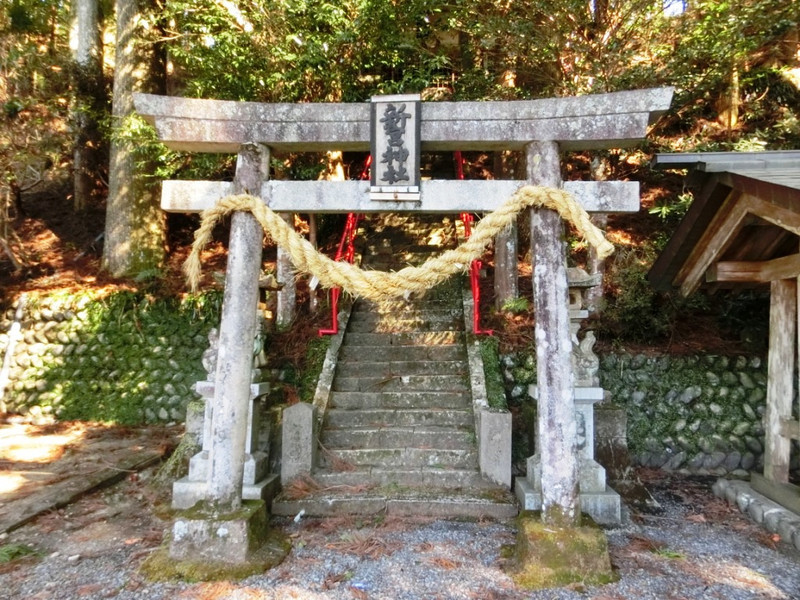 新宮神社の石鳥居 Torii1
