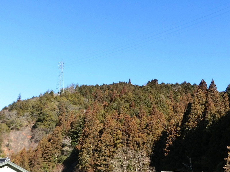 鶴ヶ城 Tsurugajyo1