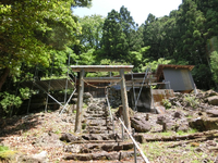 津島神社 津島神社