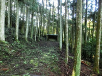 矢場 矢場