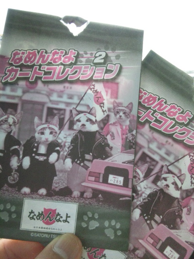 花子さんで買ったもの。メンコ、串カステラ、なめ猫カード… 花子さんで買ったもの。メンコ、串カステラ、なめ猫カード…