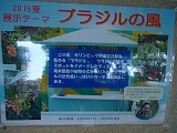 はままつフラワーパーク はままつフラワーパーク
