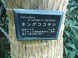 はままつフラワーパーク はままつフラワーパーク