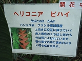 はままつフラワーパーク はままつフラワーパーク