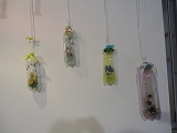 花博ガーデンパーク&フラワーボトル展 花博ガーデンパーク&フラワーボトル展