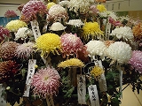 花博ガーデンパーク&フラワーボトル展 花博ガーデンパーク&フラワーボトル展