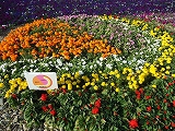 花博ガーデンパーク&フラワーボトル展 花博ガーデンパーク&フラワーボトル展