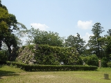 田代家.鳥羽山城.二俣城.清瀧寺.徳川信康 田代家.鳥羽山城.二俣城.清瀧寺.徳川信康