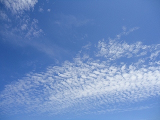 秋の気配と秋の空 秋の気配と秋の空