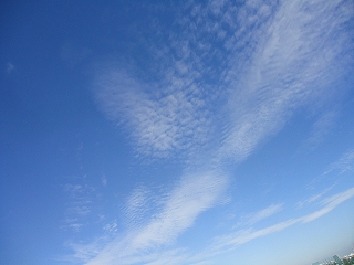 秋の気配と秋の空 秋の気配と秋の空