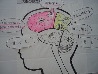 脳を鍛える習慣 脳を鍛える習慣