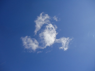 お墓の前で・・・「いのちのつながり・・・」 お墓の前で・・・「いのちのつながり・・・」