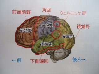 楽しい「脳トレ教室」発足しました! 楽しい「脳トレ教室」発足しました!