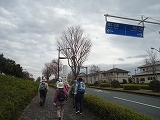 浜松新発見!!都田丸山緑地と第二緑地 浜松新発見!!都田丸山緑地と第二緑地