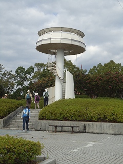 浜松新発見!!都田丸山緑地と第二緑地 浜松新発見!!都田丸山緑地と第二緑地