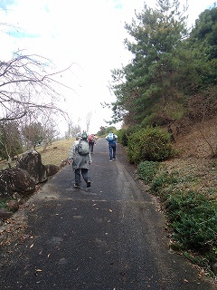 浜松新発見!!都田丸山緑地と第二緑地 浜松新発見!!都田丸山緑地と第二緑地