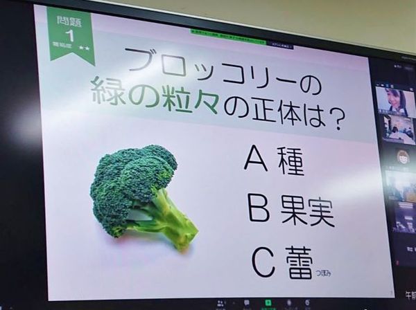 【食育ウェビナー × 宅配野菜】 新鮮野菜を食べて健康になろう! 【食育ウェビナー × 宅配野菜】 新鮮野菜を食べて健康になろう!