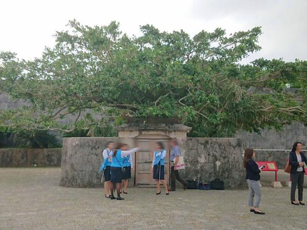短い滞在時間でも楽かった沖縄旅行でしたが、一つだけ残念なことが・・・。 短い滞在時間でも楽かった沖縄旅行でしたが、一つだけ残念なことが・・・。