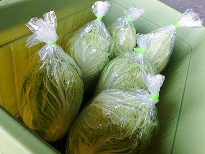 【食育ウェビナー × 宅配野菜】 新鮮野菜を食べて健康になろう! 【食育ウェビナー × 宅配野菜】 新鮮野菜を食べて健康になろう!