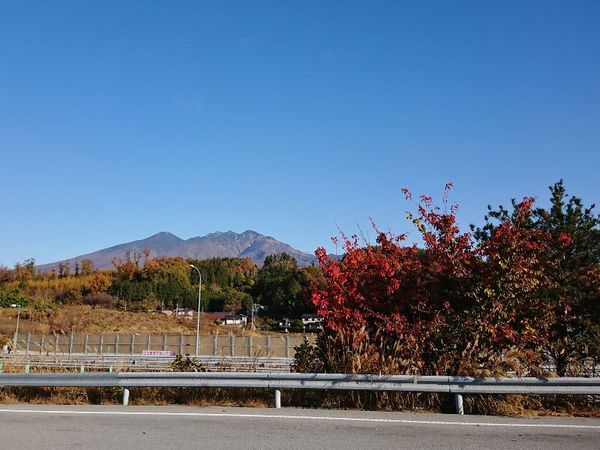 超お勧め『厚切りベーコン~Mt.八ヶ岳燻製工房~』 中央道八ヶ岳PA(下り) 超お勧め『厚切りベーコン~Mt.八ヶ岳燻製工房~』 中央道八ヶ岳PA(下り)