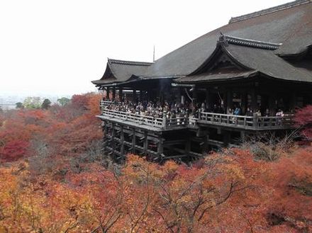 京都に行こう