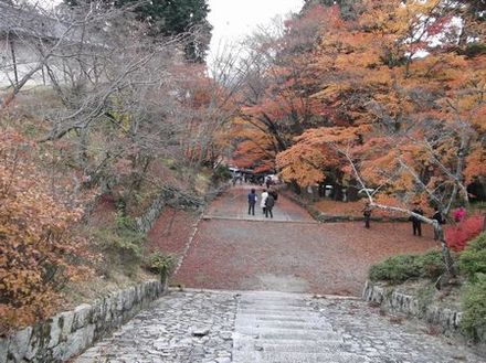 京都に行こう