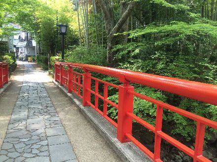 伊豆・修善寺! 伊豆・修善寺!