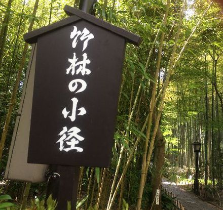 伊豆・修善寺! 伊豆・修善寺!